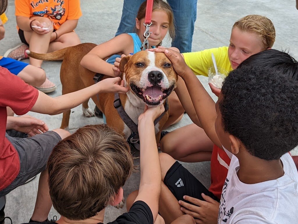 Grammy Rose Dog Rescue & Sanctuary in Acton, ME