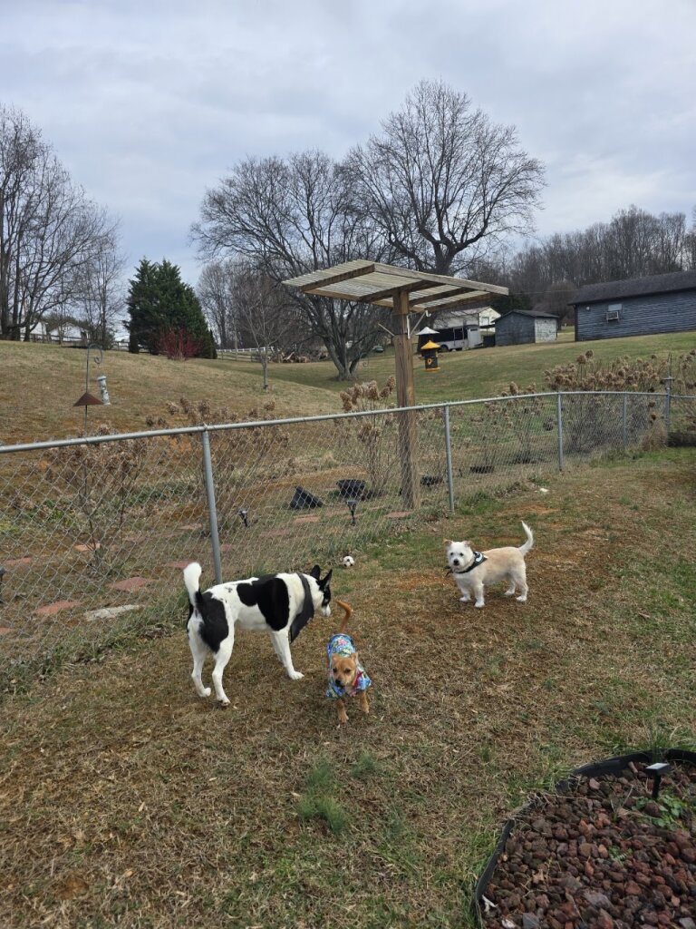 Greeneville-Greene County Humane Society animal shelter in Greeneville, TN