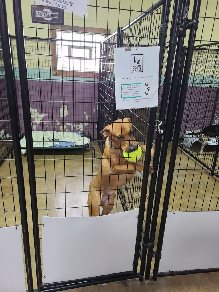 Happy Tails Animal Shelter of White County in Monticello, IN