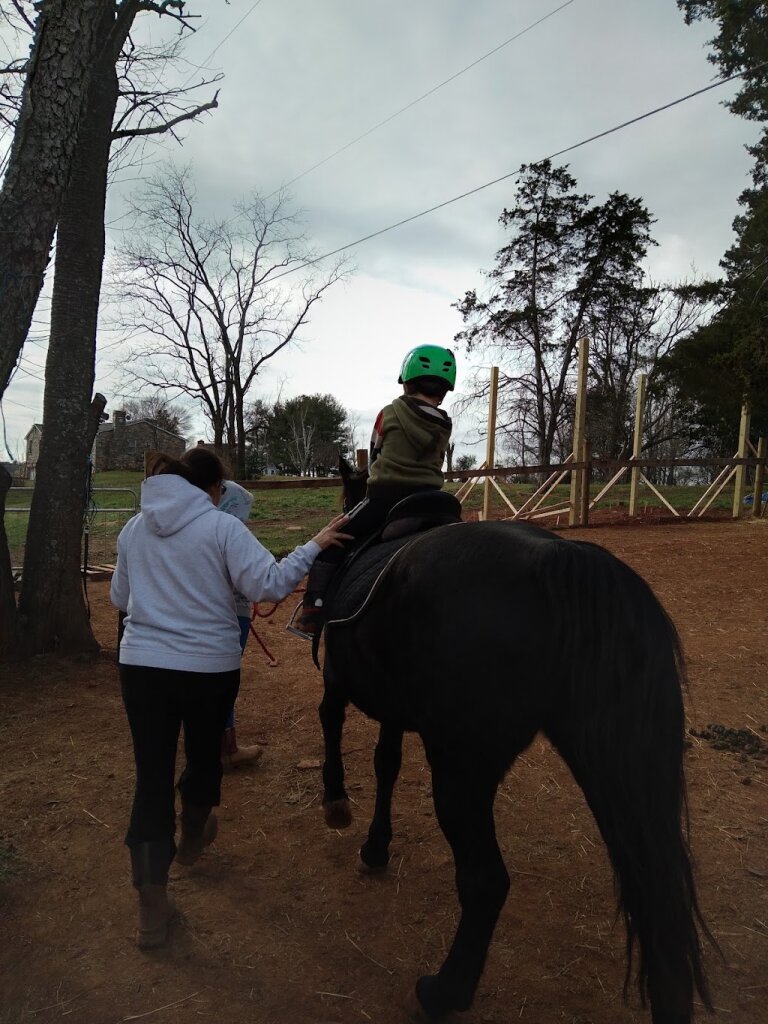 Haven Hills Animal Sanctuary animal shelter in Bealeton, VA