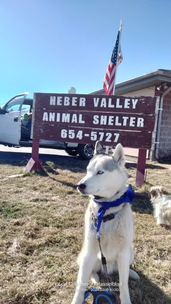 Heber Valley Animal Shelter in Heber City, UT