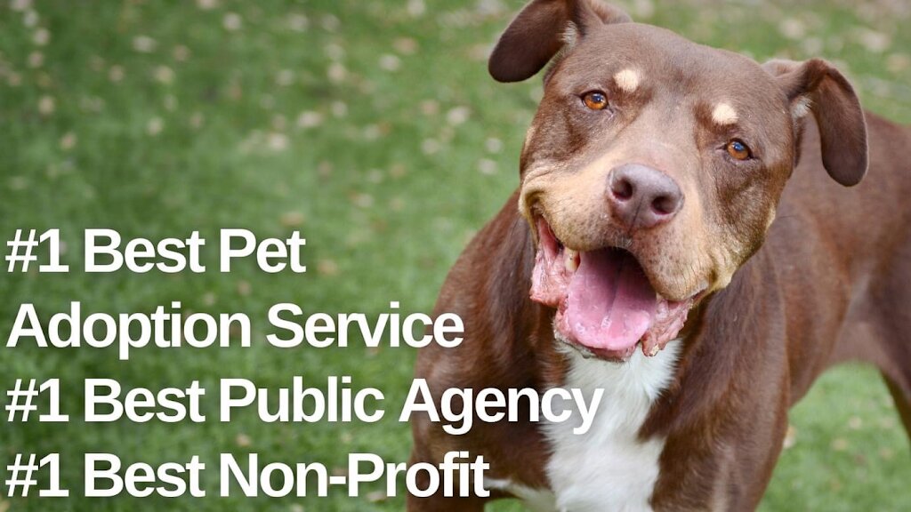 High Country Humane animal shelter in Flagstaff, AZ