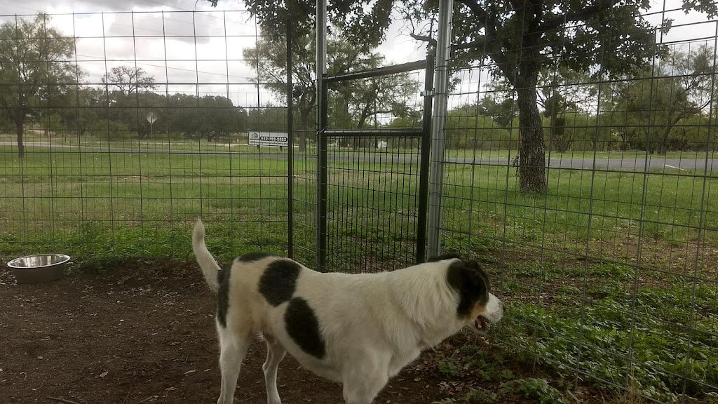 Hill Country Humane Society in Buchanan Dam, TX