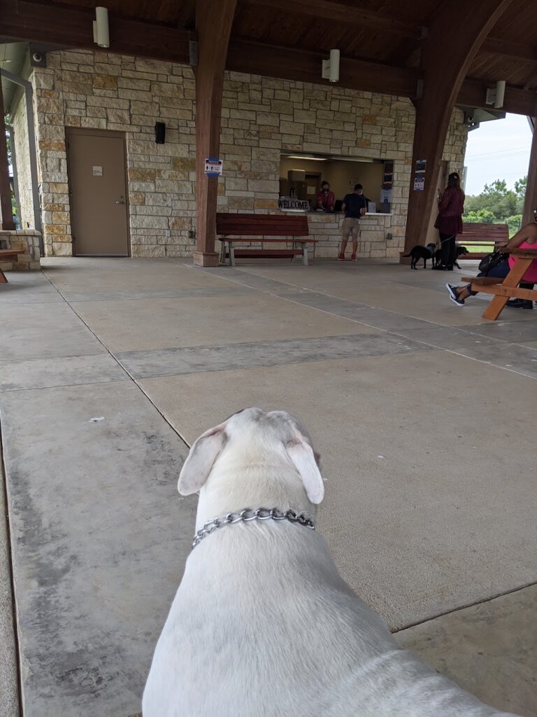 Houston Humane Society Pavilion in Houston, TX
