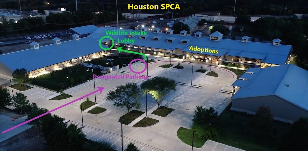 Houston SPCA's Wildlife Center animal shelter in Houston, TX