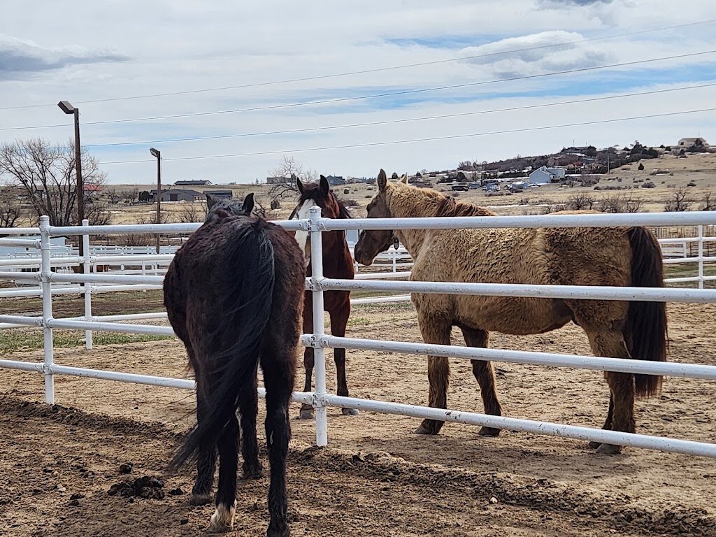Humane Colorado - Harmony Equine Center animal shelter in Franktown, CO