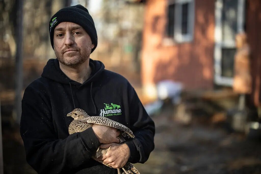 Humane Long Island animal shelter in Riverhead, NY