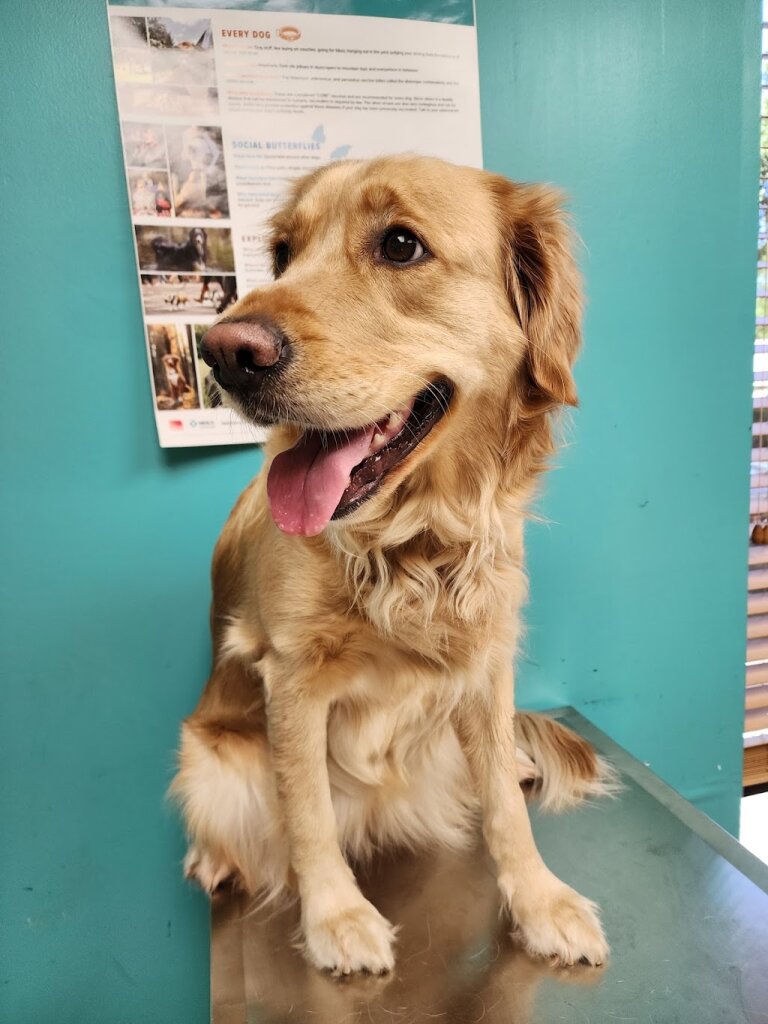 Humane Society of North America in Orlando, FL