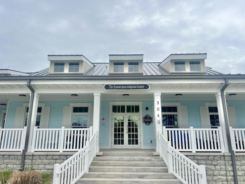 Humane Society of Pinellas in Clearwater, FL