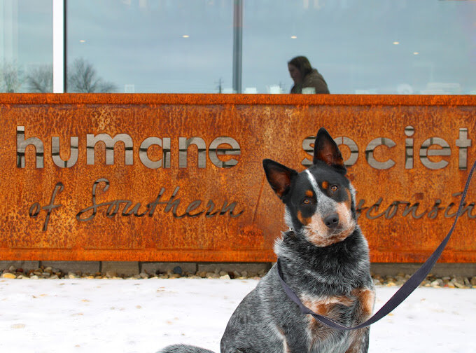 Humane Society of Southern Wisconsin in Janesville, WI