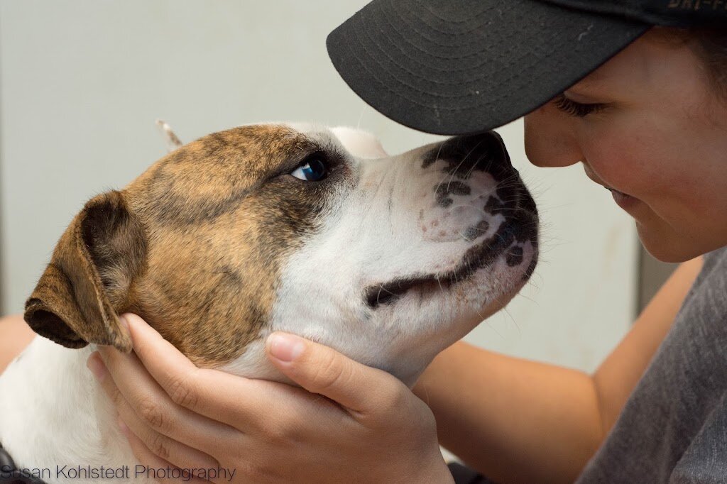 Humane Society Of The Tennessee Valley animal shelter in Knoxville, TN