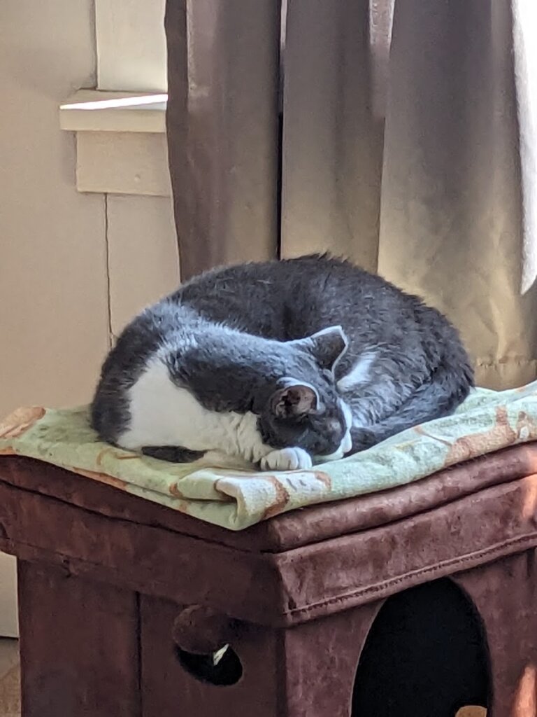 Humane Society of Wayne County in Lyons, NY