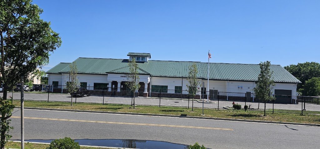 Islip Animal Shelter in Central Islip, NY