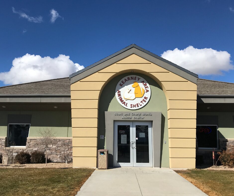 Kearney Area Animal Shelter in Kearney, NE