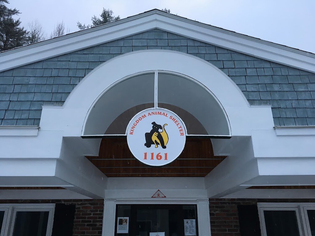 Kingdom Animal Shelter just for cats in Saint Johnsbury, VT