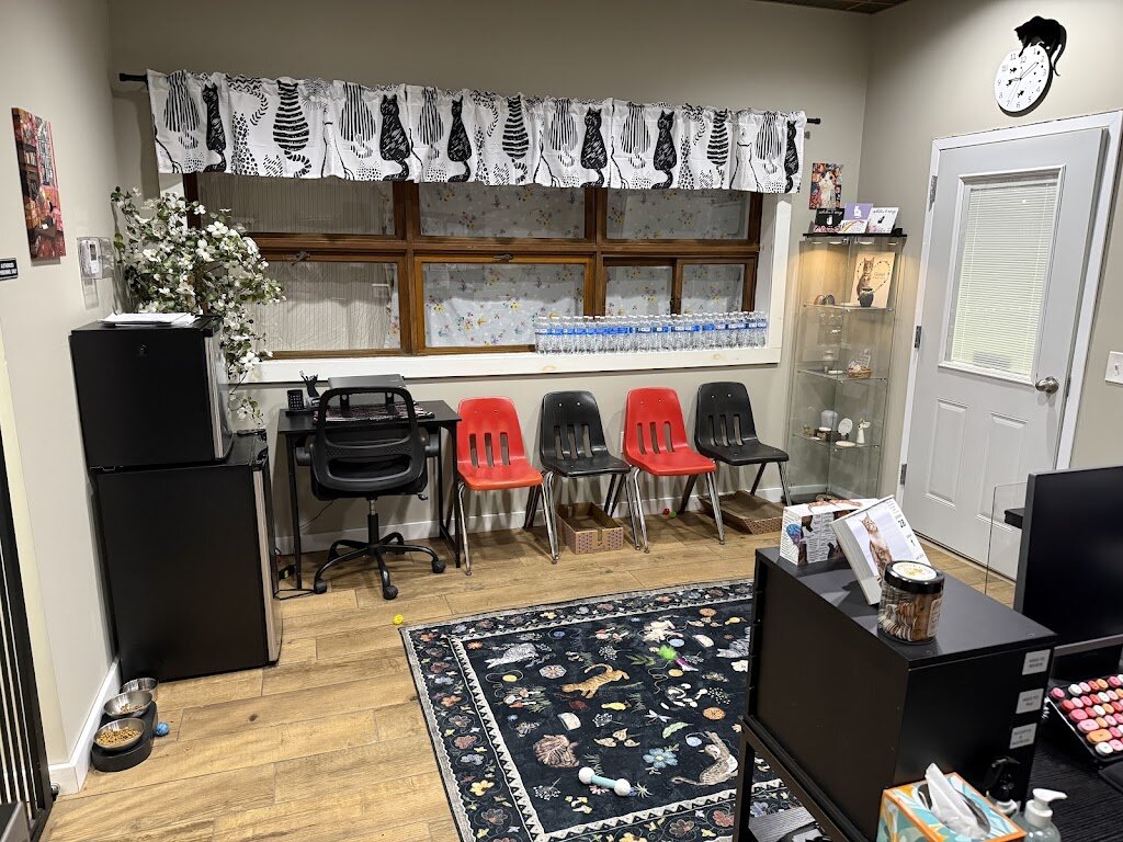 Kitty Co. Cat Rescue and Lounge in Bridgeville, PA