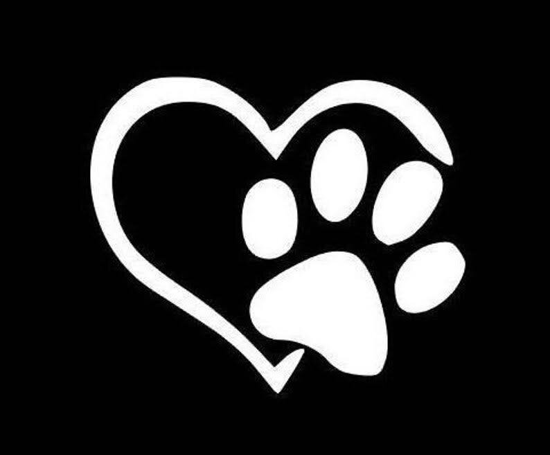 Kodak Blacks Kennel & Rescue in Big Sandy, TN