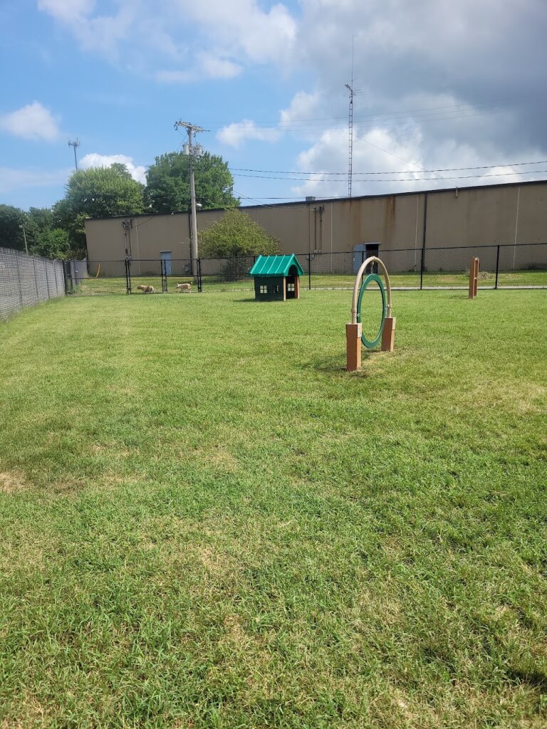 Lake County Dog Shelter in Painesville, OH