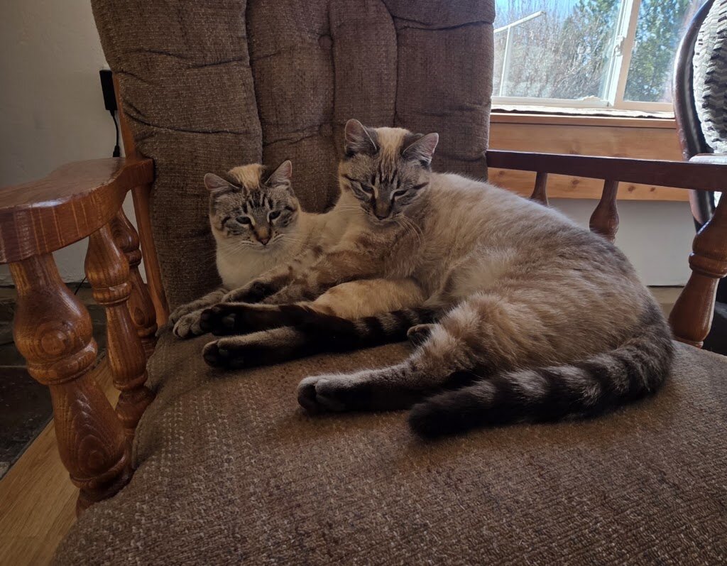 Laramie Peak Humane Society animal shelter in Douglas, WY