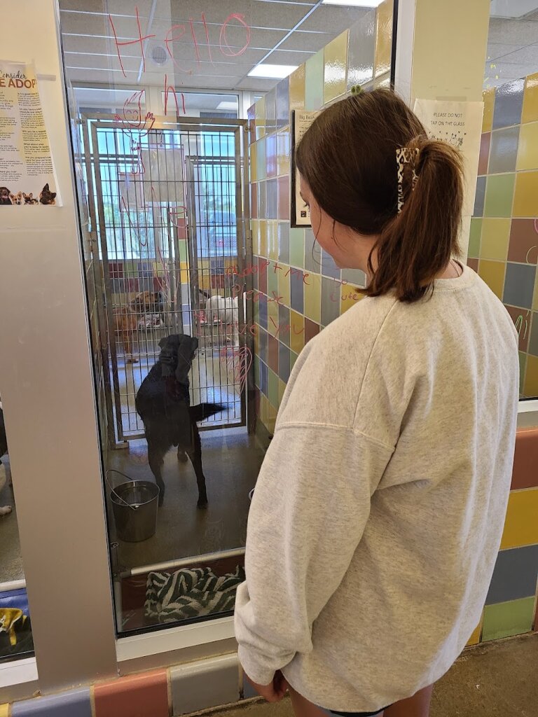 Linda McNatt Animal Care & Adoption Center animal shelter in Denton, TX