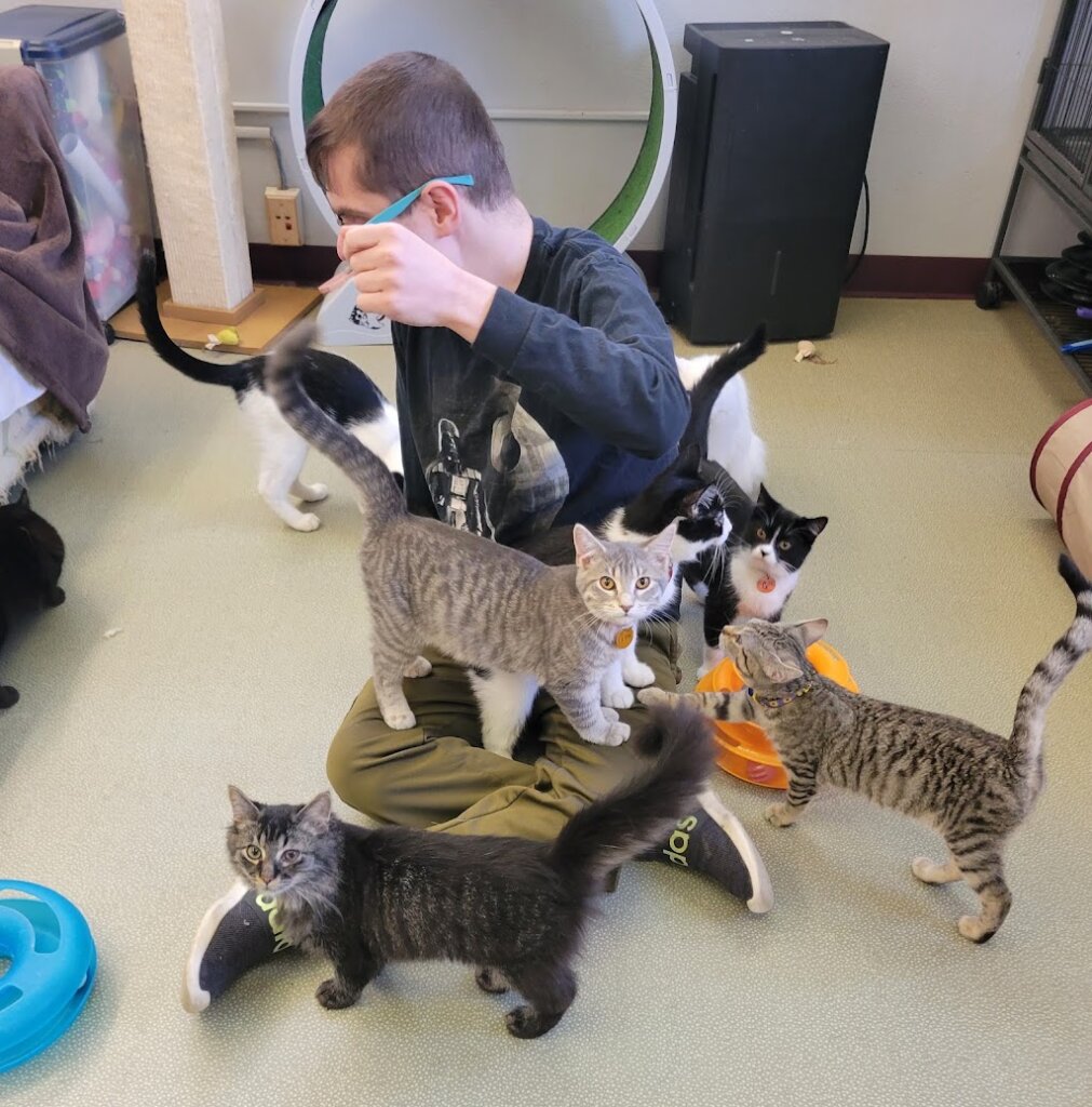Little Orphans Animal Rescue, Inc in Montello, WI