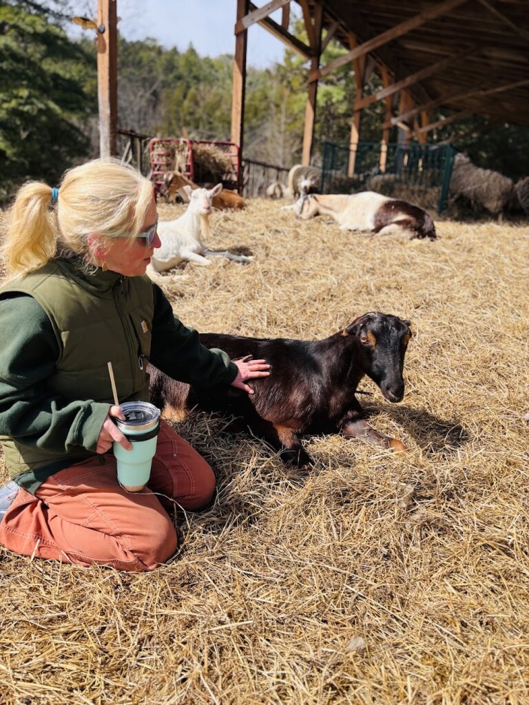 Little Red Barn Farm Sanctuary animal shelter in Tunbridge, VT