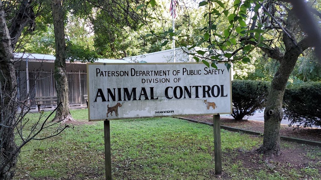 Louise Fava Animal Shelter in Paterson, NJ