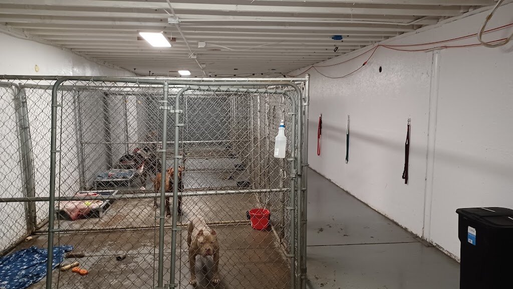Love A Pit Rescue in Winston, OR