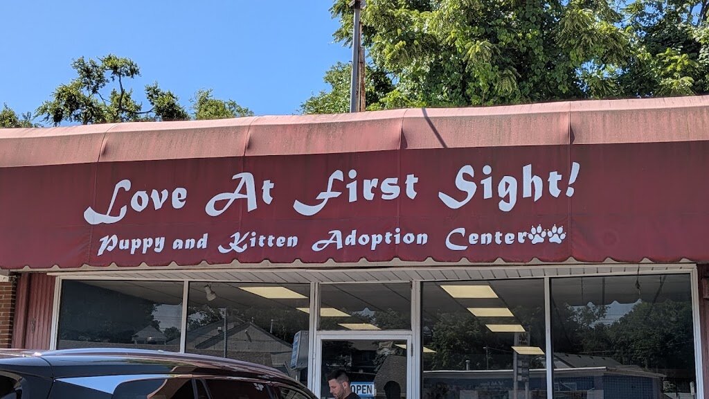 Love at First Sight! Puppy and Kitten Adoption Center animal shelter in Nashville, TN