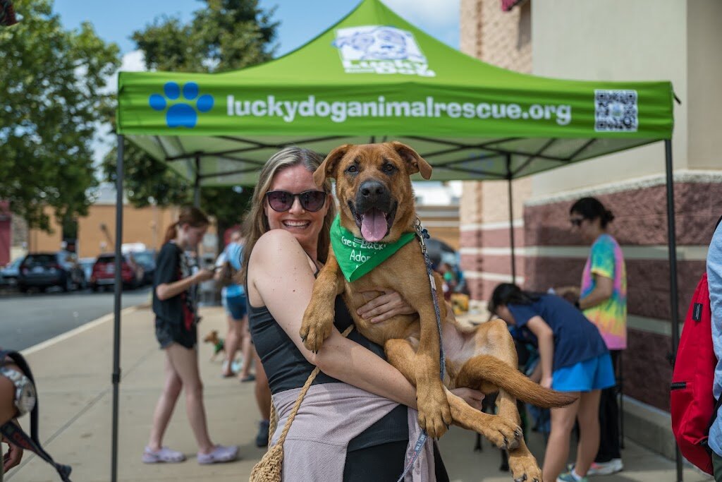Lucky Dog Animal Rescue animal shelter in Arlington, VA