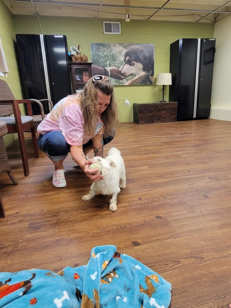 Mackenzie’s Animal Sanctuary animal shelter in Lake Odessa, MI