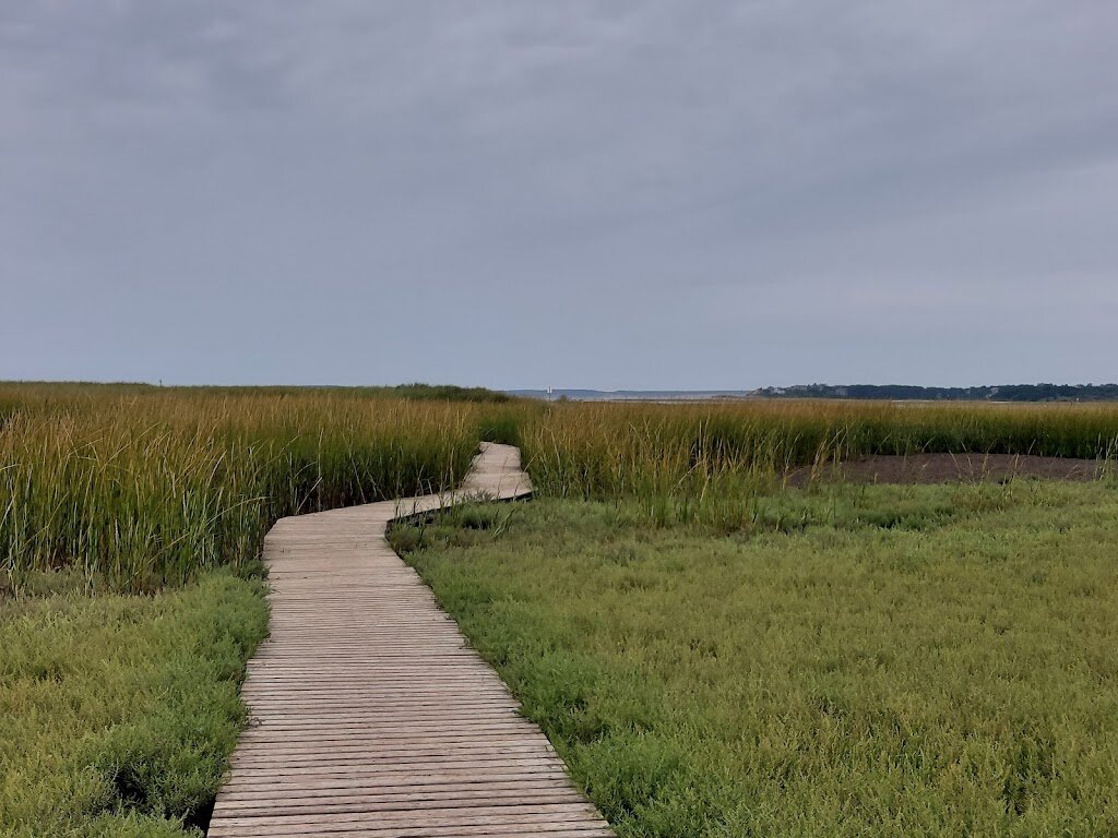 Mass Audubon Wellfleet Bay Wildlife Sanctuary animal shelter in Wellfleet, MA