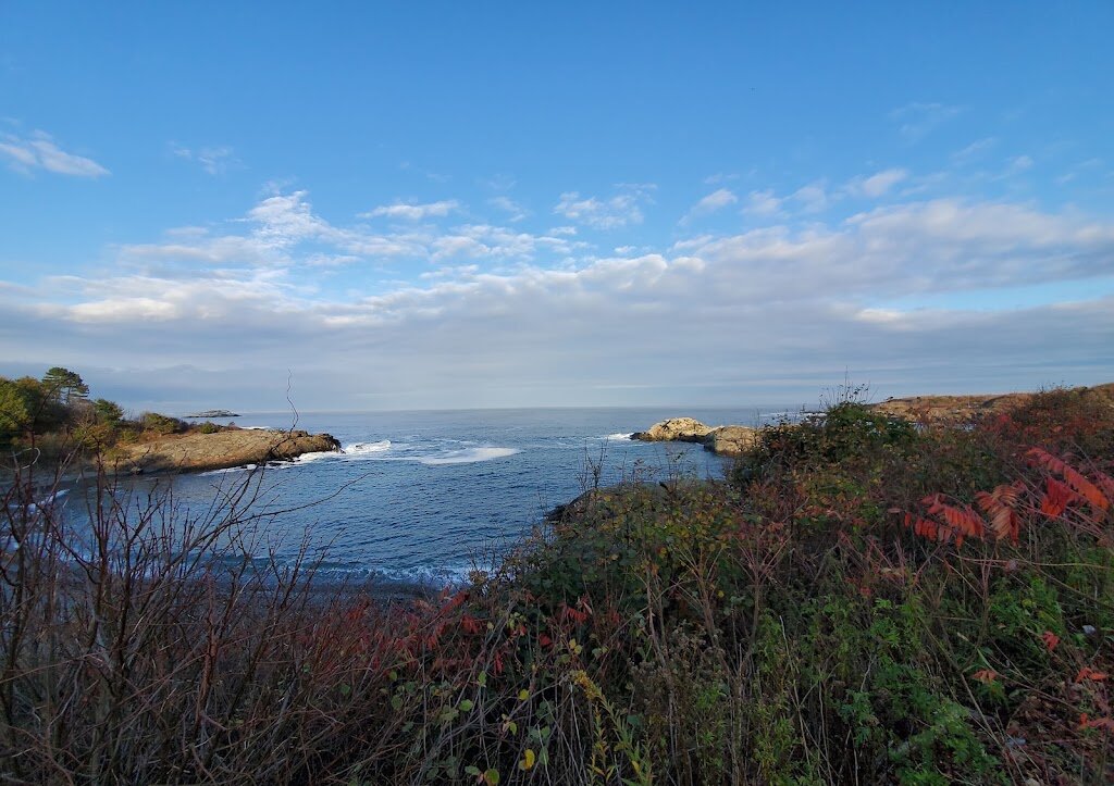 Mass Audubon's Nahant Thicket Wildlife Sanctuary animal shelter in Nahant, MA