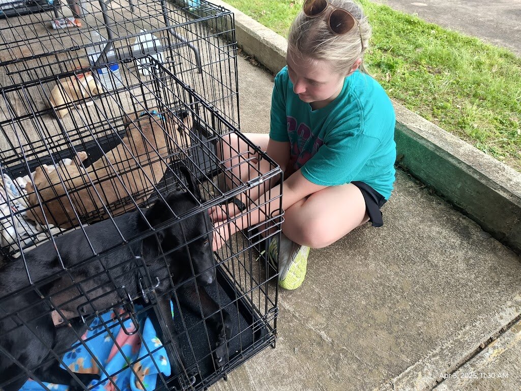 Mc Comb Animal Shelter in McComb, MS