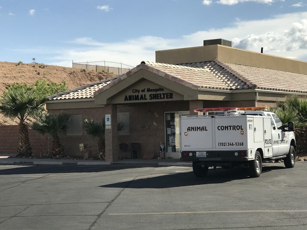 Mesquite Animal Shelter in Mesquite, NV