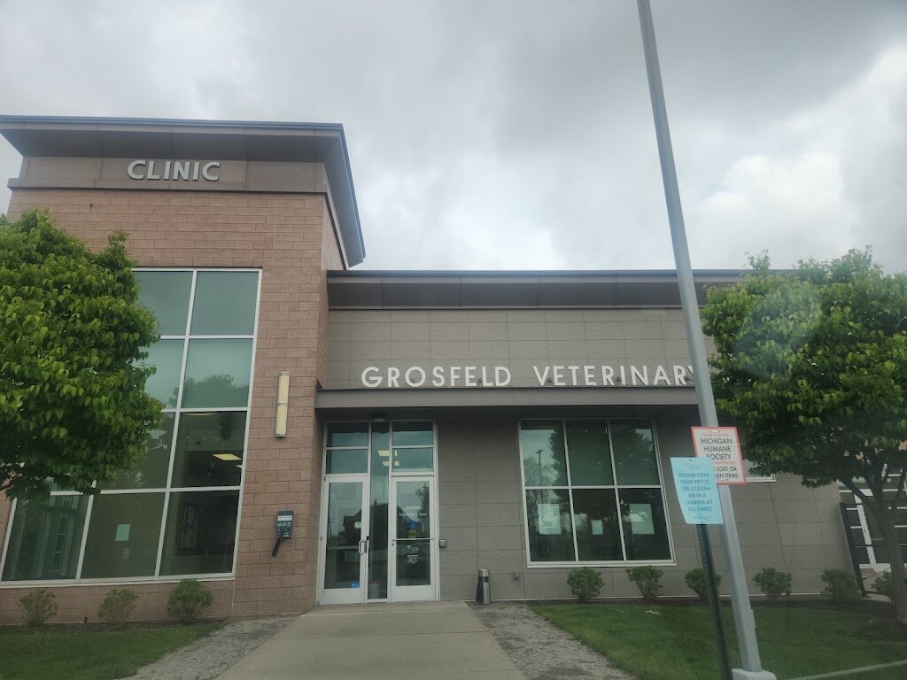 Michigan Humane animal shelter in Detroit, MI