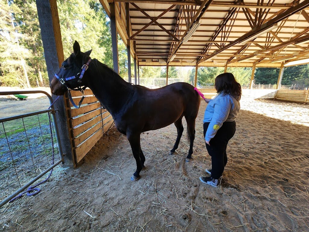 Midnight Star Sanctuary animal shelter in Buckley, WA