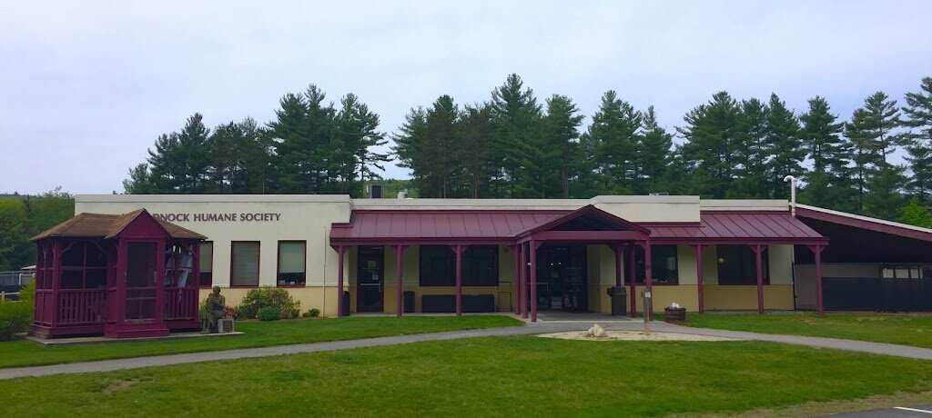 Monadnock Humane Society in Swanzey, NH