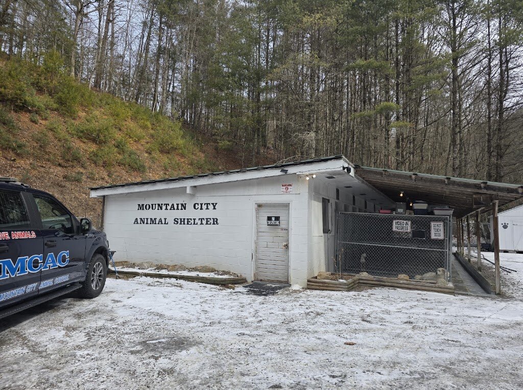 Mountain City Animal Shelter in Mountain City, TN