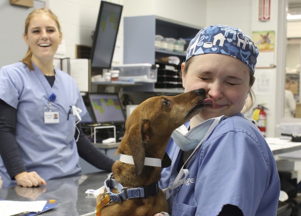 MSPCA-Angell West animal shelter in Waltham, MA