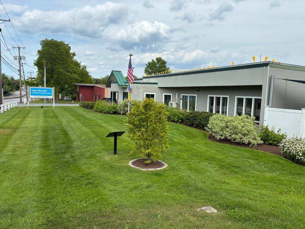MSPCA at Northeast Animal Shelter in Salem, MA