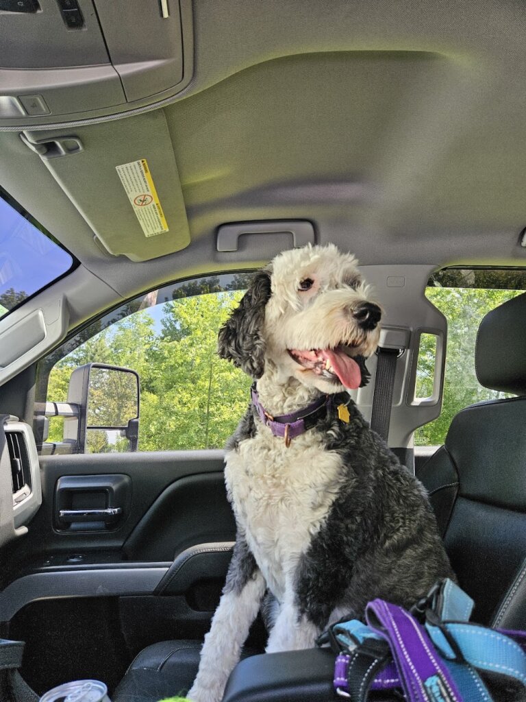 Multiple Breed Rescue in Grafton, OH