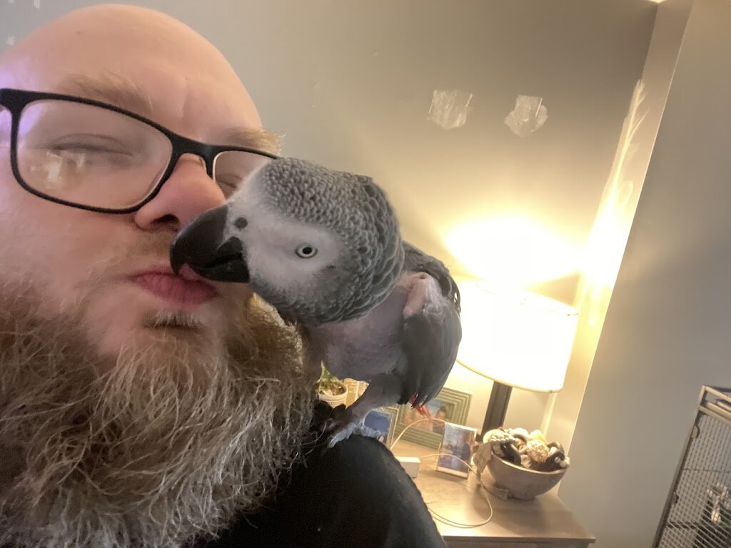 Nana & Papa's Nest Inc. Parrot Rescue in Wakefield, VA