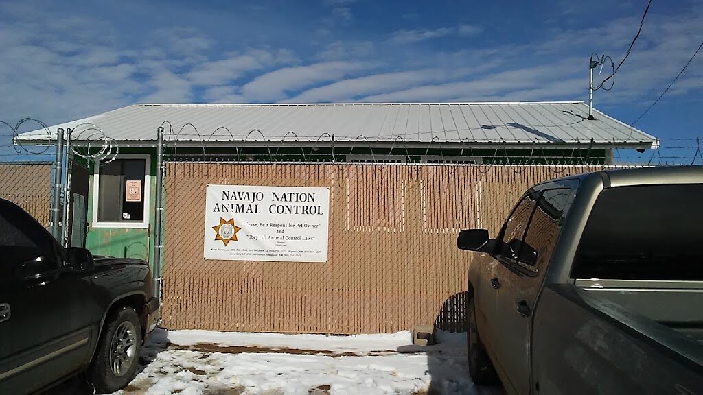 Navajo Nation Animal Shelter in Fort Defiance, AZ