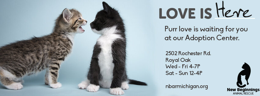 New Beginnings Animal Rescue in Royal Oak, MI