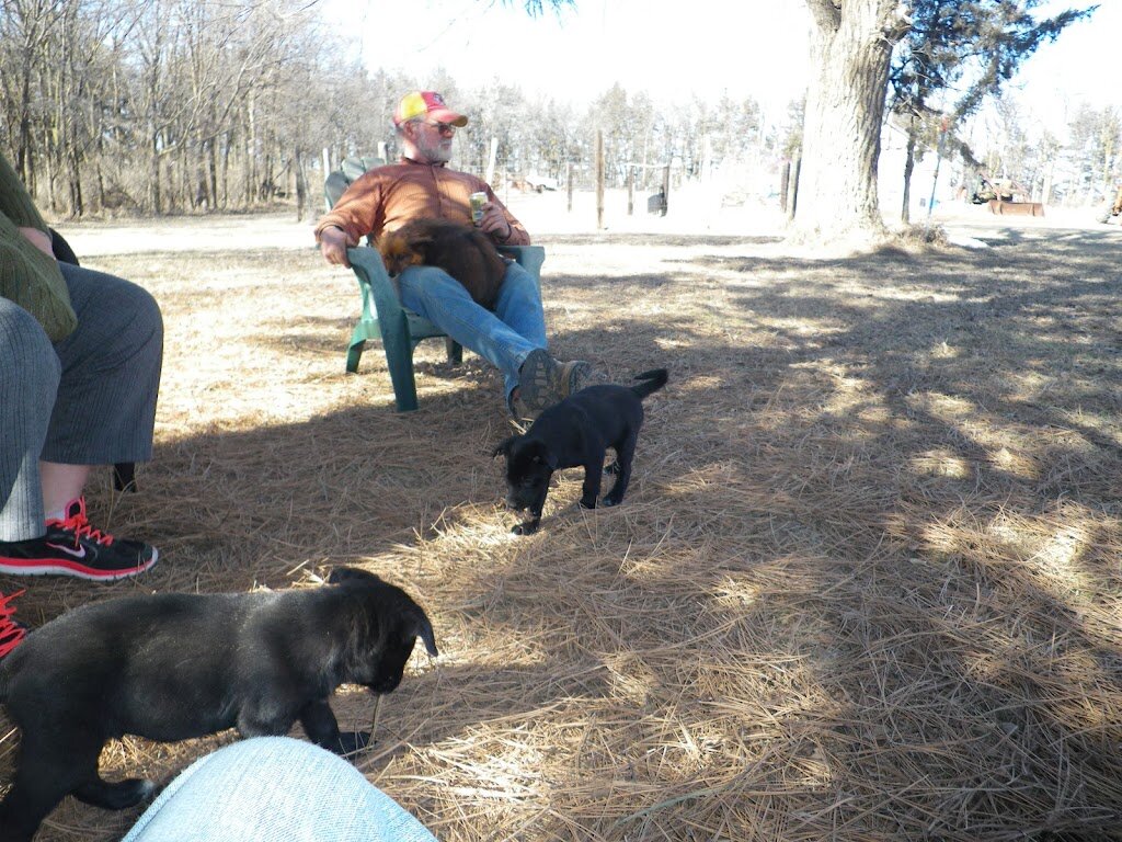 New Horizons Animal Rescue in Avon, SD