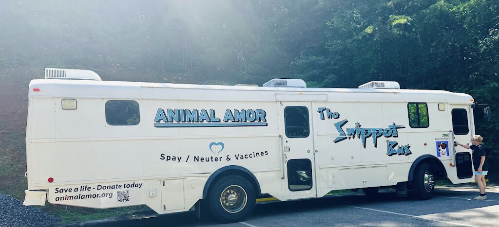 Noah's Ark Humane Society animal shelter in Franklin, NC