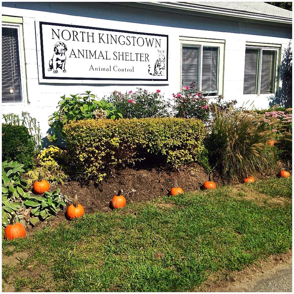 North Kingstown Animal Shelter in North Kingstown, RI