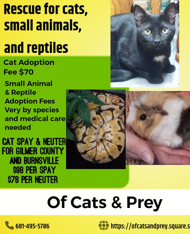 Of Cats & Prey Rescue in Glenville, WV