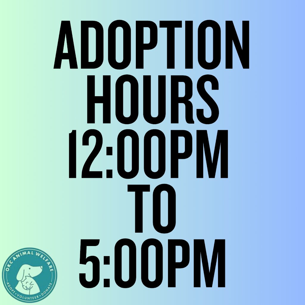Oklahoma City Animal Shelter in Oklahoma City, OK